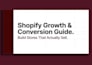 build your shopify dropshipping store, shopify website and shopify store